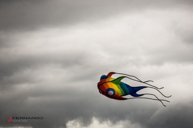 Flying Fish Kite